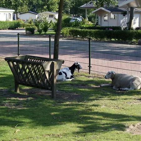 Holiday Droompark Molengroet.13 * Noord-Scharwoude